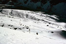 Trekkeurs à l'aube
